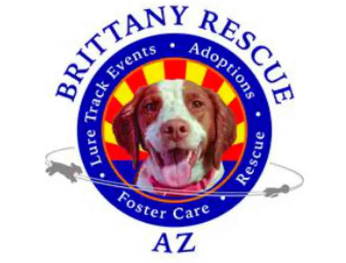 Brittany Rescue of Arizona Logo